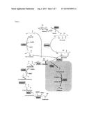 CELL-FREE AND MINIMIZED METABOLIC REACTION CASCADES FOR THE PRODUCTION OF     CHEMICALS diagram and image