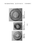 EMULSION SYSTEMS AND EMULSION-BASED AMPLIFICATION OF NUCLEIC ACID diagram and image