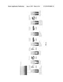 EMULSION SYSTEMS AND EMULSION-BASED AMPLIFICATION OF NUCLEIC ACID diagram and image