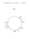 PROTEIN PRODUCTION METHOD diagram and image