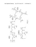 CYCLOPENTANE-PEPTIDE NUCLEIC ACIDS FOR QUALITATIVE AND QUANTITATIVE     DETECTION OF NUCLEIC ACIDS diagram and image