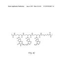 CYCLOPENTANE-PEPTIDE NUCLEIC ACIDS FOR QUALITATIVE AND QUANTITATIVE     DETECTION OF NUCLEIC ACIDS diagram and image