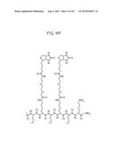 CYCLOPENTANE-PEPTIDE NUCLEIC ACIDS FOR QUALITATIVE AND QUANTITATIVE     DETECTION OF NUCLEIC ACIDS diagram and image