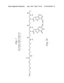 CYCLOPENTANE-PEPTIDE NUCLEIC ACIDS FOR QUALITATIVE AND QUANTITATIVE     DETECTION OF NUCLEIC ACIDS diagram and image