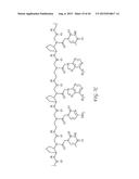 CYCLOPENTANE-PEPTIDE NUCLEIC ACIDS FOR QUALITATIVE AND QUANTITATIVE     DETECTION OF NUCLEIC ACIDS diagram and image