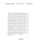 COMPOSITIONS AND METHODS FOR DETECTION OF STAPHYLOCOCCUS AUREUS diagram and image