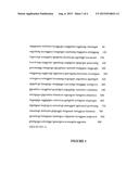 COMPOSITIONS AND METHODS FOR DETECTION OF STAPHYLOCOCCUS AUREUS diagram and image