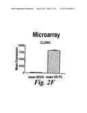 THERAPY WITH CLOSTRIDIUM PERFRINGENS ENTEROTOXIN TO TREAT OVARIAN AND     UTERINE CANCER diagram and image