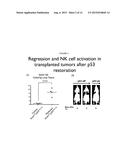 METHODS AND PRODUCTS RELATED TO TARGETED CANCER THERAPY diagram and image