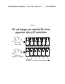 METHODS AND PRODUCTS RELATED TO TARGETED CANCER THERAPY diagram and image