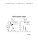 METHODS AND PRODUCTS RELATED TO TARGETED CANCER THERAPY diagram and image