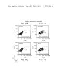 METHODS AND PRODUCTS RELATED TO TARGETED CANCER THERAPY diagram and image