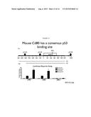 METHODS AND PRODUCTS RELATED TO TARGETED CANCER THERAPY diagram and image