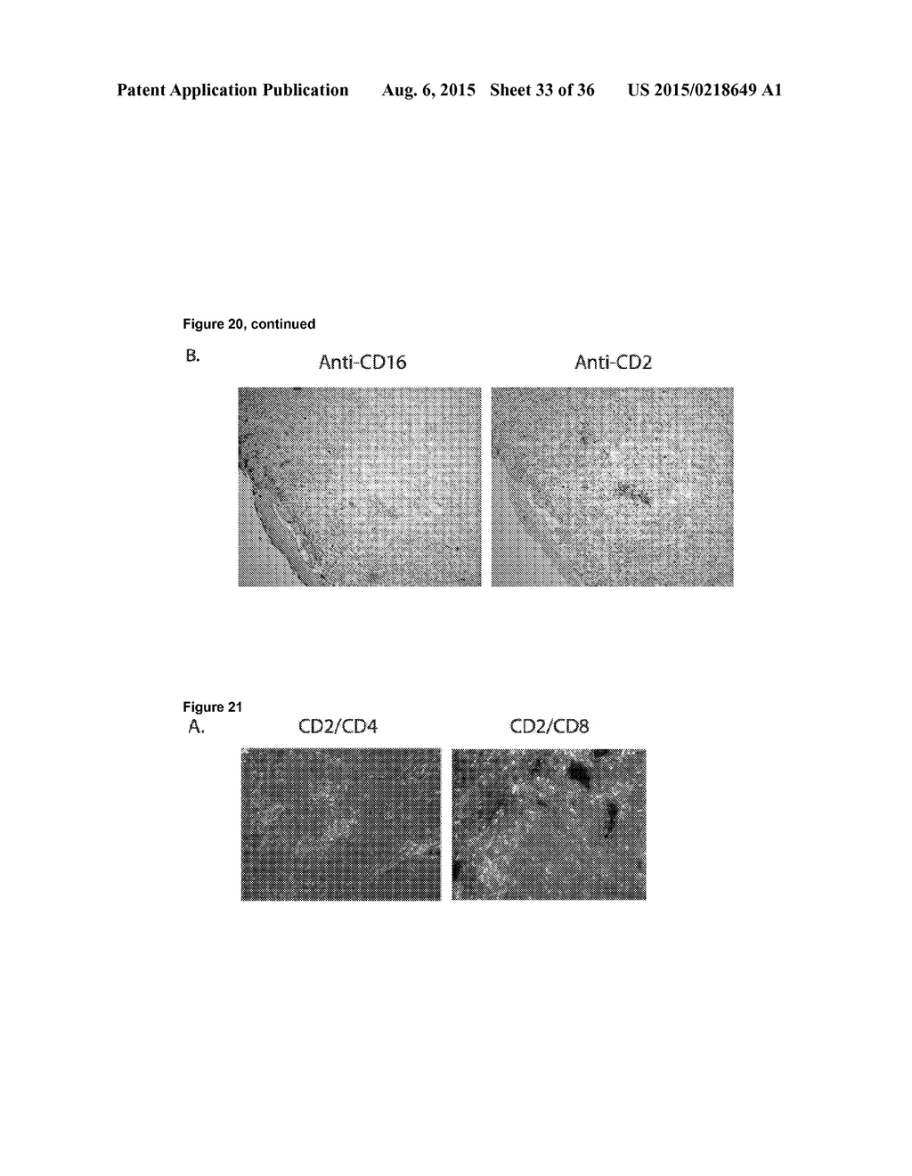 BIOMARKER ASSOCIATED WITH RISK OF MELANOMA REOCCURRENCE - diagram, schematic, and image 34