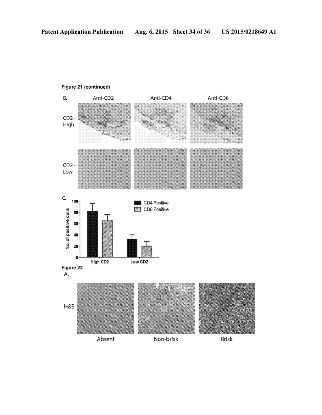 BIOMARKER ASSOCIATED WITH RISK OF MELANOMA REOCCURRENCE - diagram, schematic, and image 35