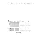 USE OF DNA IN CIRCULATING EXOSOMES AS A DIAGNOSTIC MARKER FOR METASTATIC     DISEASE diagram and image