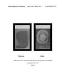 Anti-Corrosion Coating Utilizing Bacterial Precipitated Exopolysaccharides diagram and image