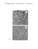 METAL MATERIAL HAVING PROTECTIVE COATING AND METHOD FOR MANUFACTURING THE     SAME diagram and image