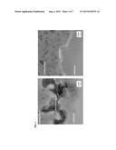 METAL MATERIAL HAVING PROTECTIVE COATING AND METHOD FOR MANUFACTURING THE     SAME diagram and image