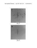 SAMPLE PREPARATION FOR SPECTROSCOPY ANALYSIS diagram and image