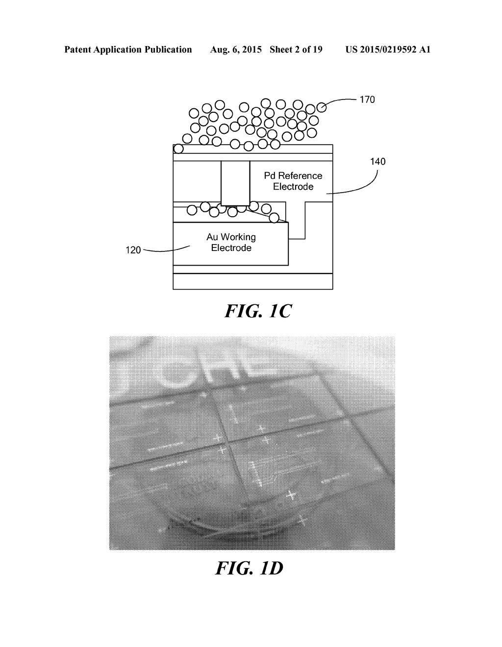 MICROFLUIDIC-NANOFLUIDIC DEVICES FOR DETECTION AND MEASUREMENT OF REDOX     ACTIVE SUBSTANCES - diagram, schematic, and image 03