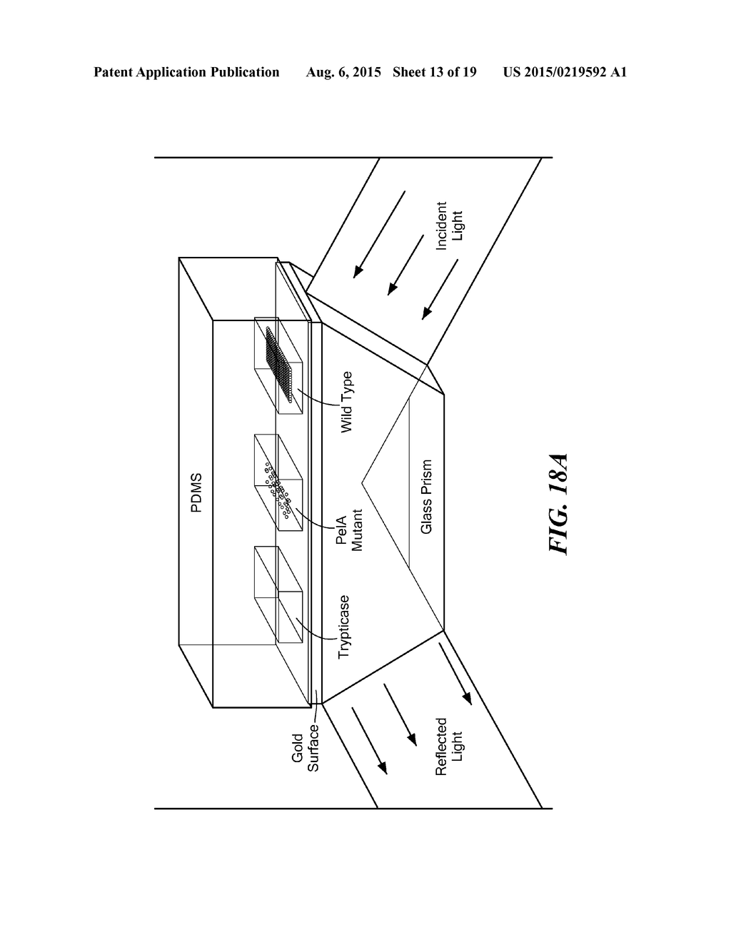 MICROFLUIDIC-NANOFLUIDIC DEVICES FOR DETECTION AND MEASUREMENT OF REDOX     ACTIVE SUBSTANCES - diagram, schematic, and image 14