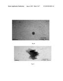 POROUS NOBLE METAL OXIDE NANOPARTICLES, METHOD FOR PREPARING THE SAME AND     THEIR USE diagram and image