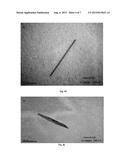 POROUS NOBLE METAL OXIDE NANOPARTICLES, METHOD FOR PREPARING THE SAME AND     THEIR USE diagram and image