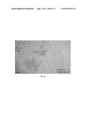 POROUS NOBLE METAL OXIDE NANOPARTICLES, METHOD FOR PREPARING THE SAME AND     THEIR USE diagram and image