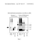 Use of Novel Coumarins as Glutathione and Thiol Labels diagram and image