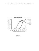 METHODS FOR DETECTING A MYCOBACTERIUM TUBERCULOSIS INFECTION diagram and image