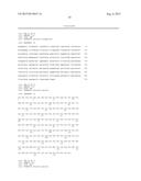 COMPOSITIONS AND METHODS FOR SCREENING FOR LYME DISEASE diagram and image