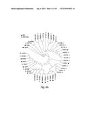 METHODS FOR THE DETECTION OF JC POLYOMA VIRUS diagram and image