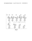 METHODS FOR THE DETECTION OF JC POLYOMA VIRUS diagram and image