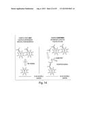 METHODS FOR THE DETECTION OF JC POLYOMA VIRUS diagram and image