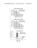 METHODS FOR THE DETECTION OF JC POLYOMA VIRUS diagram and image