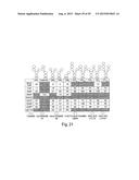 METHODS FOR THE DETECTION OF JC POLYOMA VIRUS diagram and image