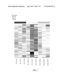 THE USE OF GENE EXPRESSION PROFILING AS A BIOMARKER FOR ASSESSING THE     EFFICACY OF HDAC INHIBITOR TREATMENT IN NEURODEGENERATIVE CONDITIONS diagram and image