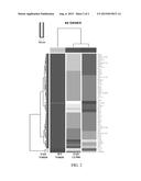 THE USE OF GENE EXPRESSION PROFILING AS A BIOMARKER FOR ASSESSING THE     EFFICACY OF HDAC INHIBITOR TREATMENT IN NEURODEGENERATIVE CONDITIONS diagram and image