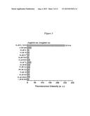 BISTRIFILATE-BASED FLUOROGENIC PROBES FOR DETECTION OF SUPEROXIDE ANION     RADICAL diagram and image