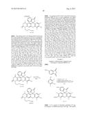 BISTRIFILATE-BASED FLUOROGENIC PROBES FOR DETECTION OF SUPEROXIDE ANION     RADICAL diagram and image