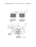 Method and Apparatus For Magnetic Susceptibility Tomography,     Magnetoencephalography, and Taggant Or Contrast Agent Detection diagram and image