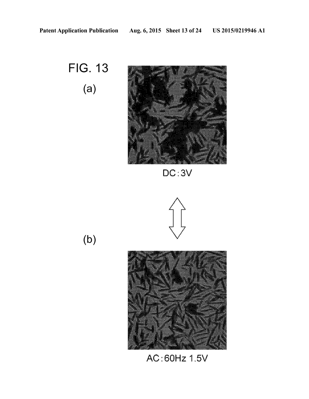 DISPLAY PANEL, DISPLAY DEVICE, AND METHOD FOR MANUFACTURING DISPLAY PANEL - diagram, schematic, and image 14