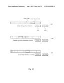 Elastic Scaling of Data Volume diagram and image