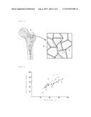 TRABECULAR BONE ANALYZER diagram and image