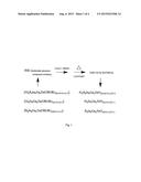 MOLECULAR PRECURSOR COMPOUNDS FOR ABIGZO ZINC-GROUP 13 MIXED OXIDE     MATERIALS diagram and image