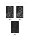 SULFUR BASED ACTIVE MATERIAL FOR A POSITIVE ELECTRODE diagram and image