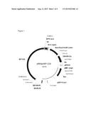 POLYPEPTIDES HAVING TRANSGALACTOSYLATING ACTIVITY diagram and image