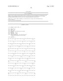 POLYPEPTIDES HAVING TRANSGALACTOSYLATING ACTIVITY diagram and image