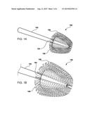 TOOTHBRUSH FOR HUMAN OR NON-HUMAN SUBJECTS diagram and image